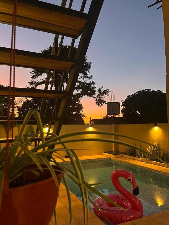 Colibri Hostel بويرتو إجوازو المظهر الخارجي الصورة